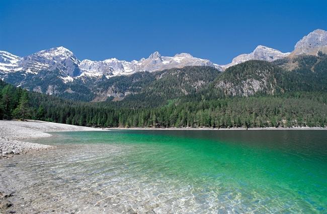 Aparthotel Garni Il Giglio 3*